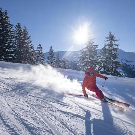 Διαμέρισμα Grd005 - Standing 6 Pers Pied De Piste